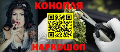 стаф Лесосибирск
