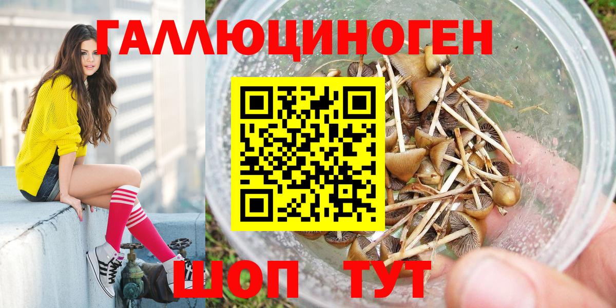 Галлюциногенные грибы мухоморы Дубна
