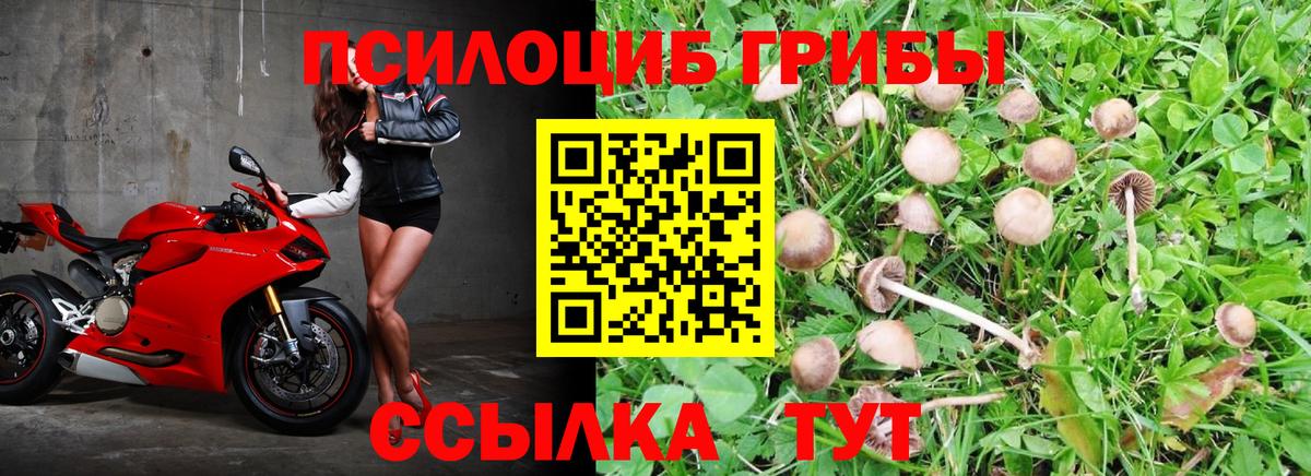 Псилоцибиновые грибы Cubensis  Вход с VPN  дарнет шоп  Дубна 